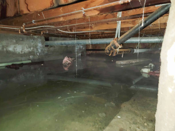 Water damage restoration insurance claims in Lake Monticello, VA