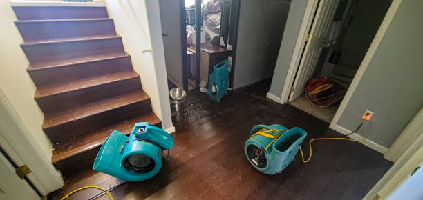 Best Residential water damage restoration  in Lake Monticello, VA