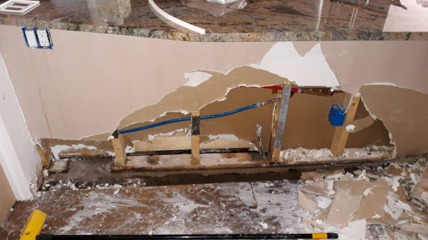 Best Fire Damage Restoration  in Lake Monticello, VA