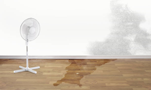 Best Water damage cleanup near me  in Lake Monticello, VA
